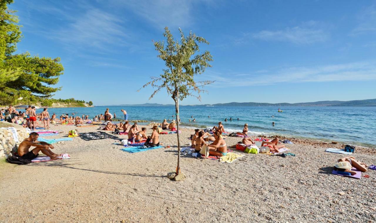 Apartman Olive Garden Zadar Eksteriør billede